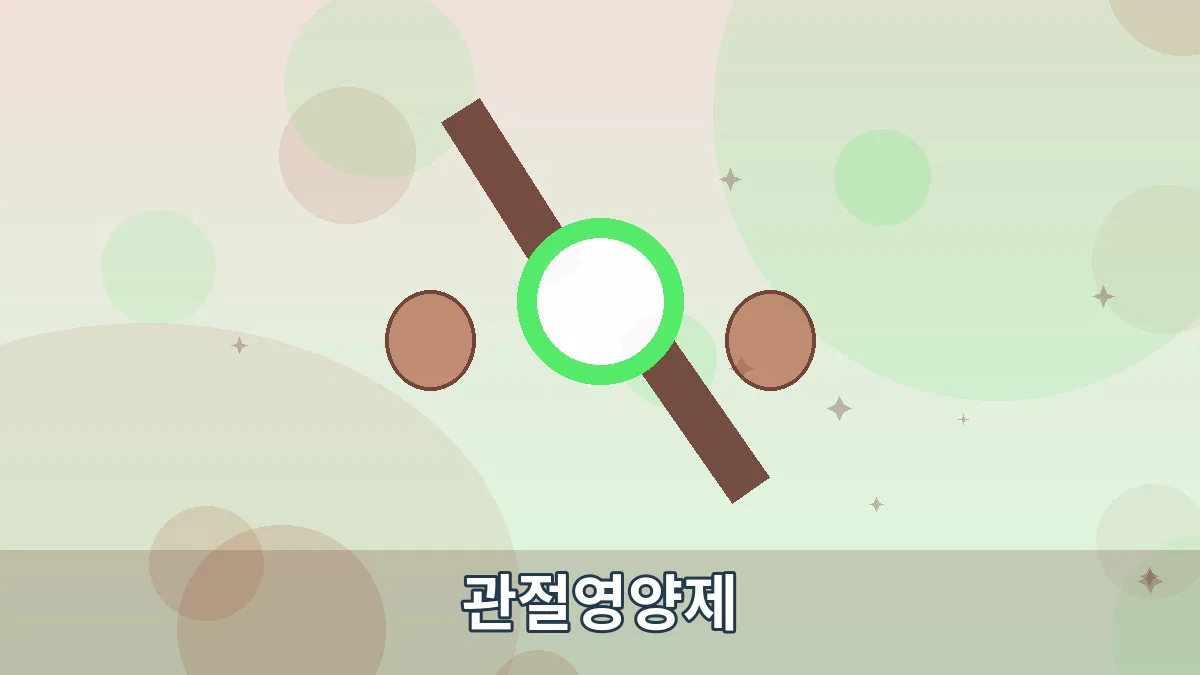 관절영양제 안내 이미지