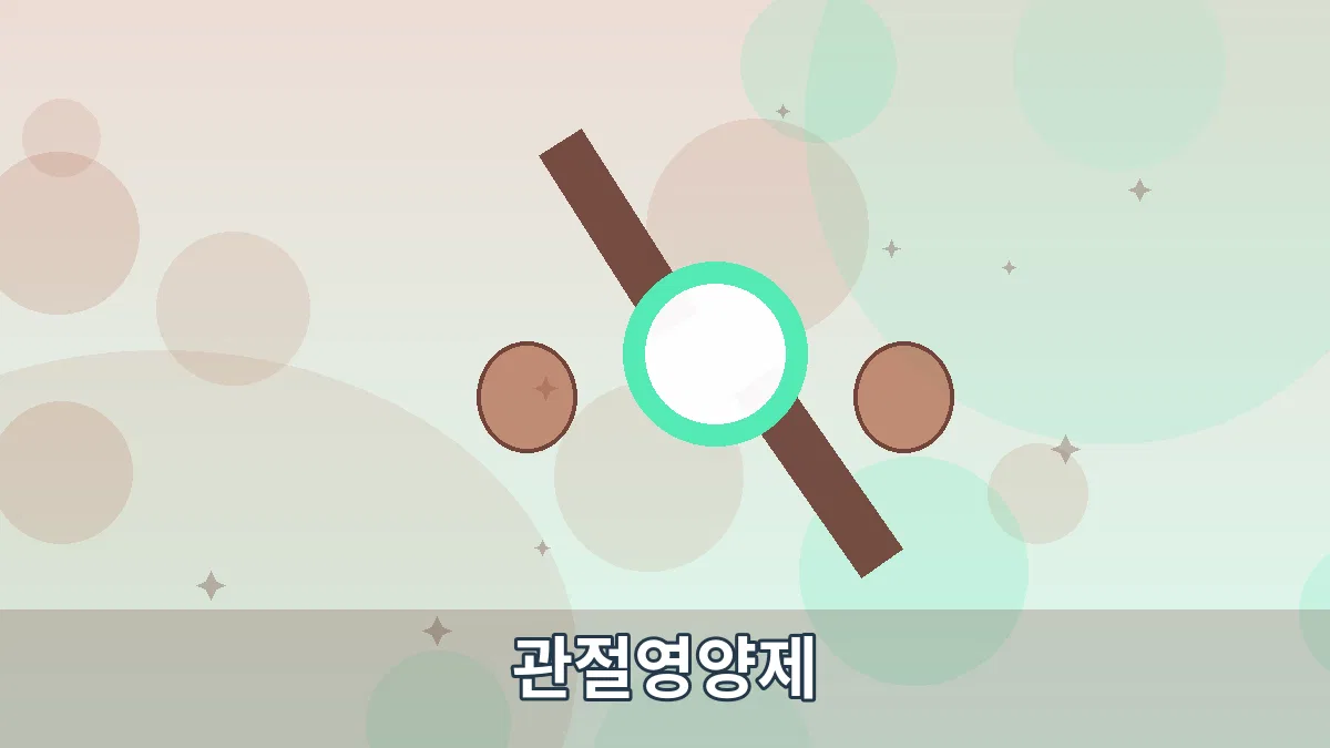 관절영양제 안내 이미지 2
