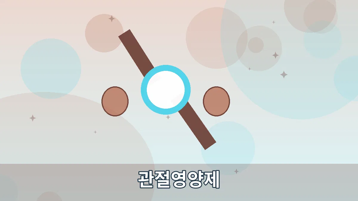 관절영양제 안내 이미지 3