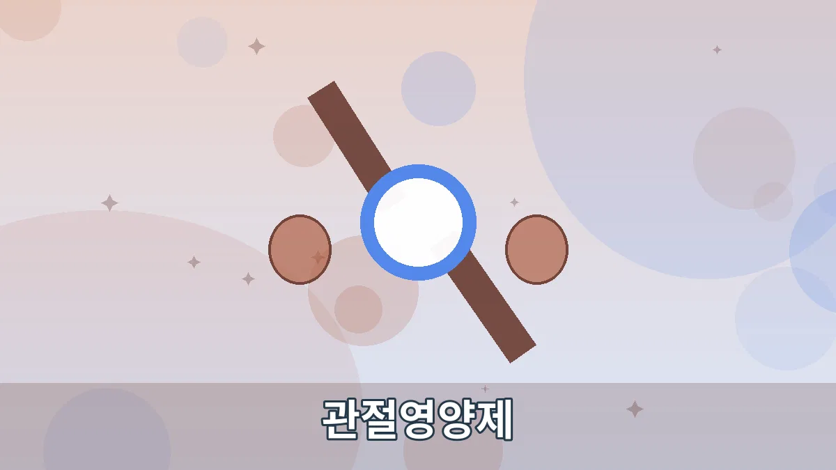 관절영양제 안내 이미지 4